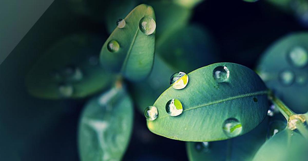 Dws Invest Esg Equity Income